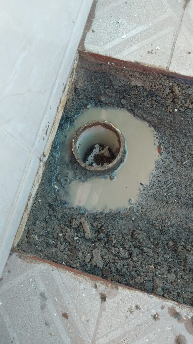 WhatsApp Image 2025-07-12 at 19.03