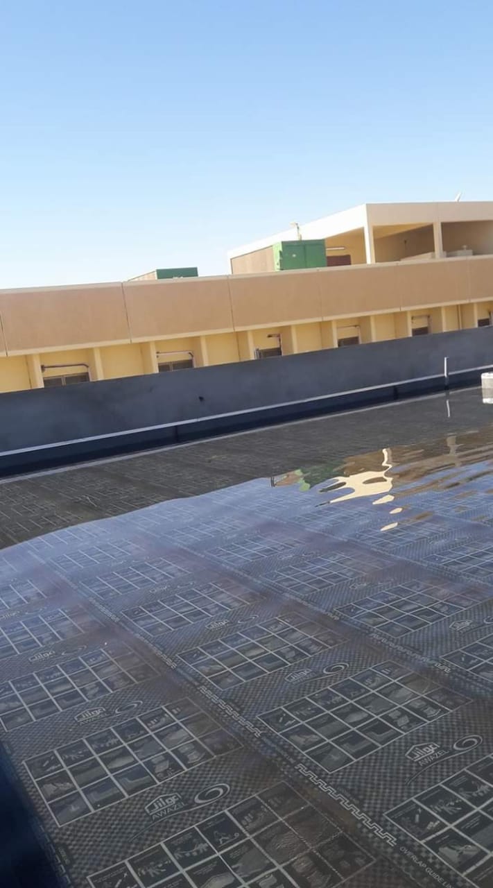 WhatsApp Image 2025-07-12 at 19.03