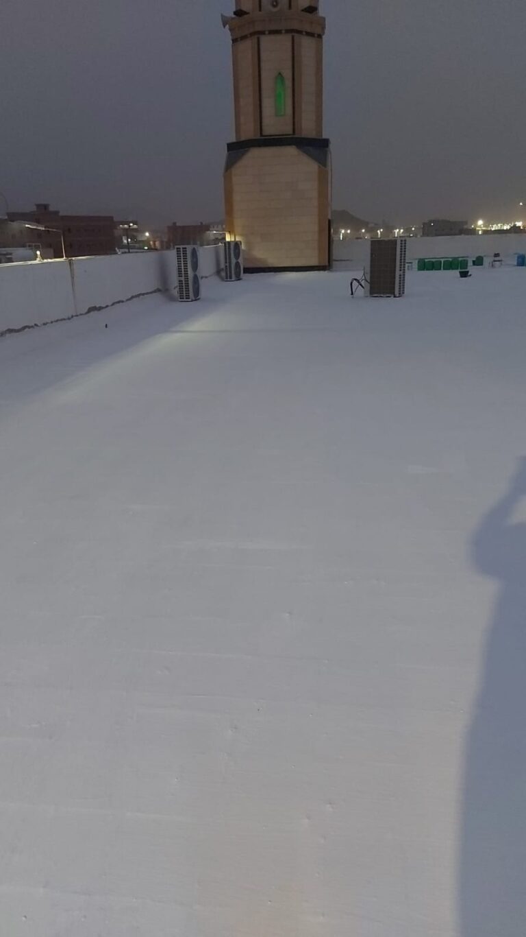 WhatsApp Image 2025-07-12 at 19.03