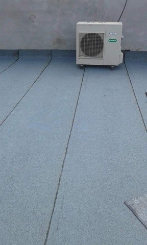 WhatsApp Image 2025-07-12 at 19.03